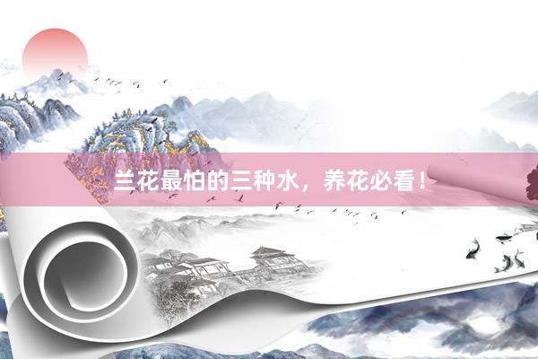 兰花最怕的三种水，养花必看！